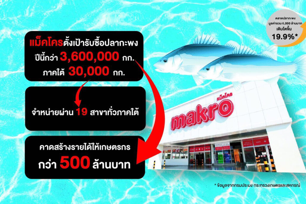 แม็คโครเคียงข้างเกษตรกรไทย จับมือพาณิชย์และประมงจังหวัดสงขลา รับซื้อปลากะพงกว่า 30,000 กิโลกรัมจากภาคใต้ แก้ปัญหาราคาตกต่ำ