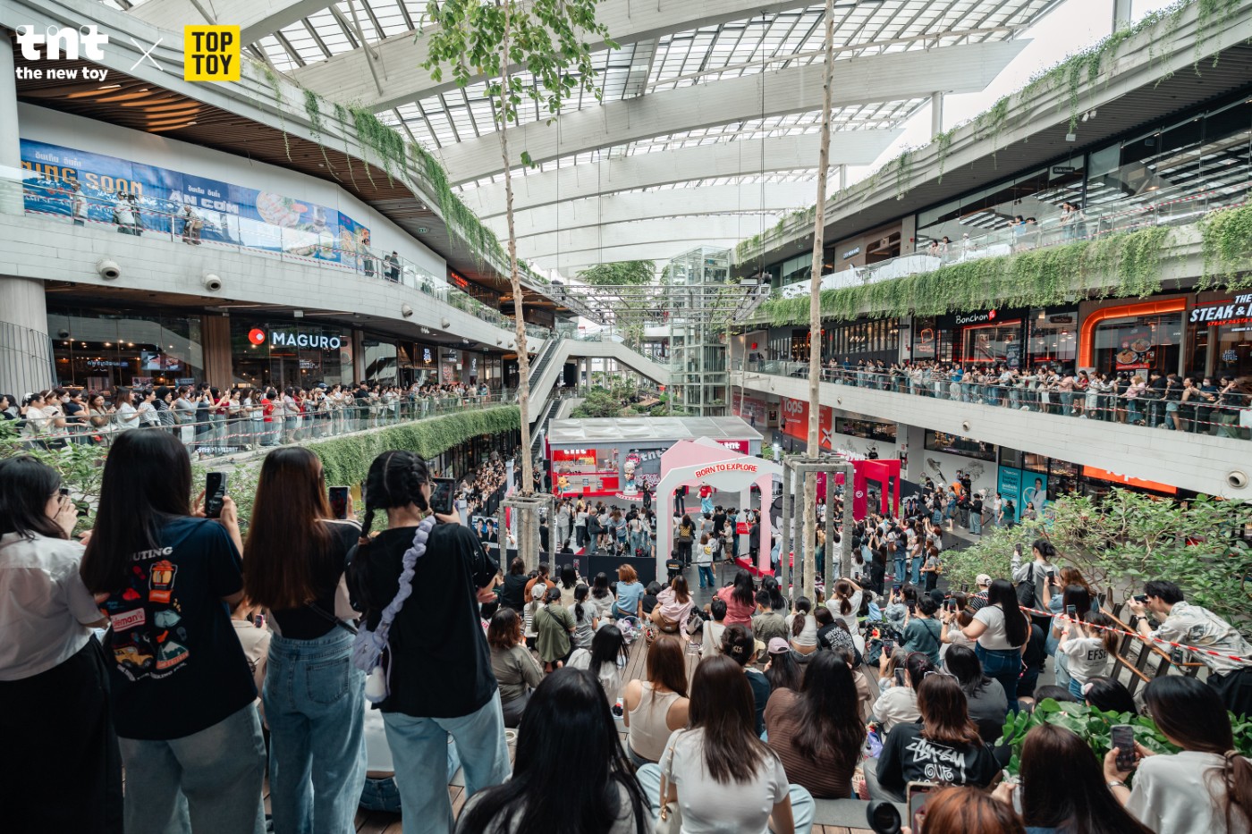 tnt แบรนด์อาร์ตทอยระดับโลกน้องใหม่ สร้างปรากฏการณ์สุดยิ่งใหญ่ในการเปิดตัวครั้งแรกที่ประเทศไทย